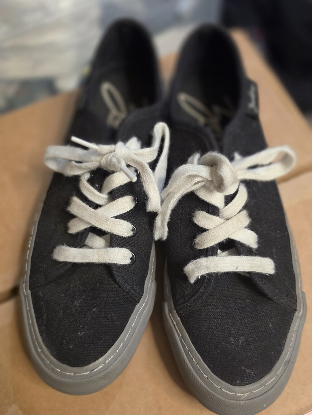 Zodiac Black Canvas Lace-Up Sneakers with White Laces
